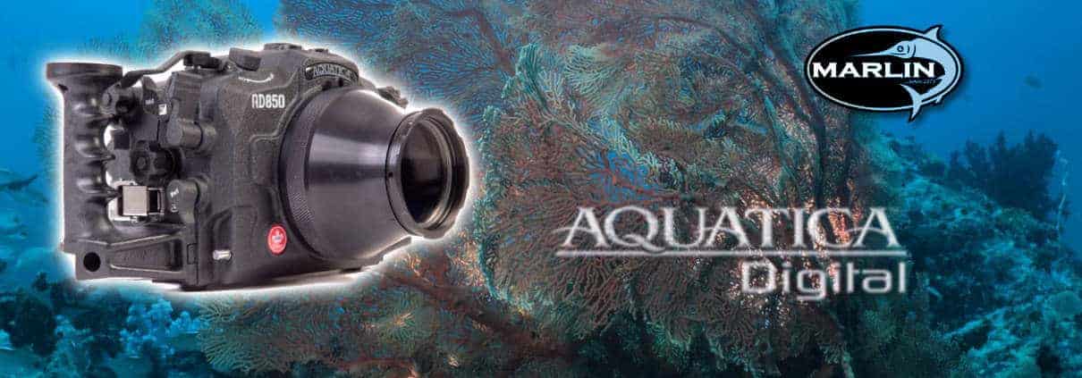 Aquatica Digital Kanada, Vertrieb Marlin